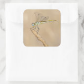 Skimmer Dragonfly Insect Vrouw (CC BY 4.0) Vierkante Sticker (Tas)