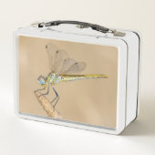 Skimmer Libel Insect Vrouwelijk (CC BY 4.0) (Achterkant)