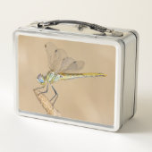 Skimmer Libel Insect Vrouwelijk (CC BY 4.0) (Achterkant)