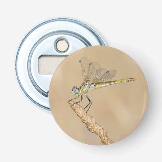 Skimmer Libel Insect Vrouwelijk (CC BY 4.0) Button Flesopener (Voorkant)