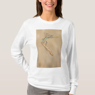 Skimmer Libel Insect Vrouwelijk (CC BY 4.0) T-shirt