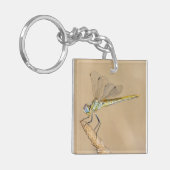 Skimmer Libel Insect Vrouwtje (CC BY 4.0) Keycha Sleutelhanger (Voorkant Links)