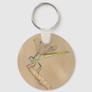 Skimmer Libel Insect Vrouwtje (CC BY 4.0) Keycha Sleutelhanger