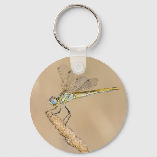 Skimmer Libel Insect Vrouwtje (CC BY 4.0) Keycha Sleutelhanger (Voorkant)