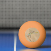Skimmer Libel Insect Vrouwtje (CC BY 4.0) Ping P Pingpongbal (Net)