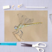 Skimmer Libel Insect Vrouwtje (CC BY 4.0) Weefsel Tissuepapier (Craft)