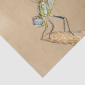 Skimmer Libel Insect Vrouwtje (CC BY 4.0) Weefsel Tissuepapier (Detail)