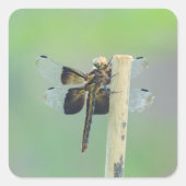 Skimmer Vierkante Sticker (Voorkant)