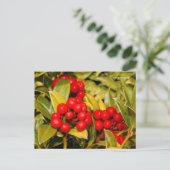 Skimmia Japonica Berries en Leaves Briefkaart (Staand voorkant)