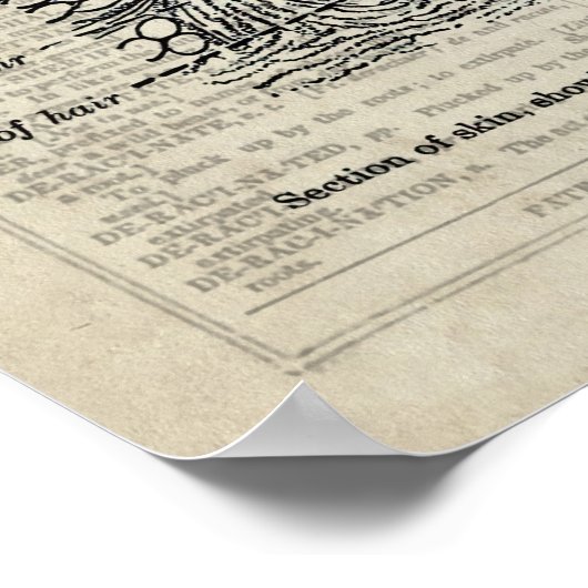 Skin Anatomy Blue Floral  Dictionary Art de Poster (Hoek)