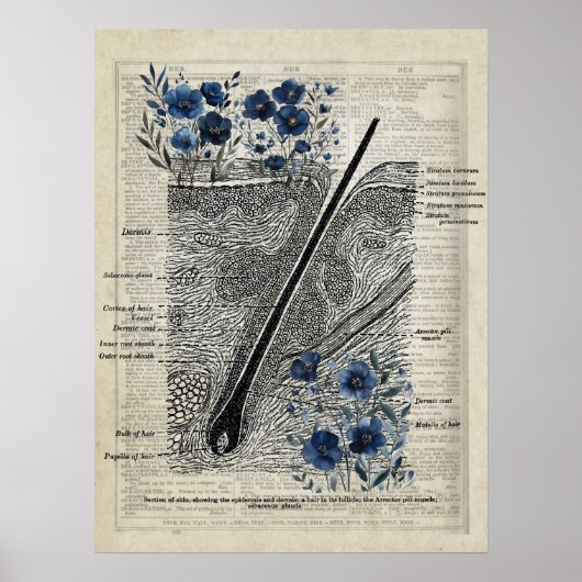 Skin Anatomy Blue Floral  Dictionary Art de Poster (Voorkant)