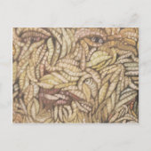 "Skin Deep" Briefkaart (Voorkant)