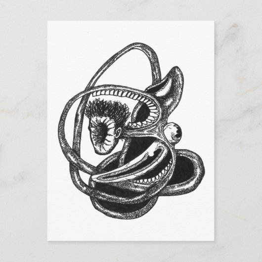 Skin-out Briefkaart (Voorkant)