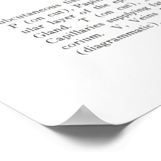 Skin Section Anatomie print 2. (Hoek)