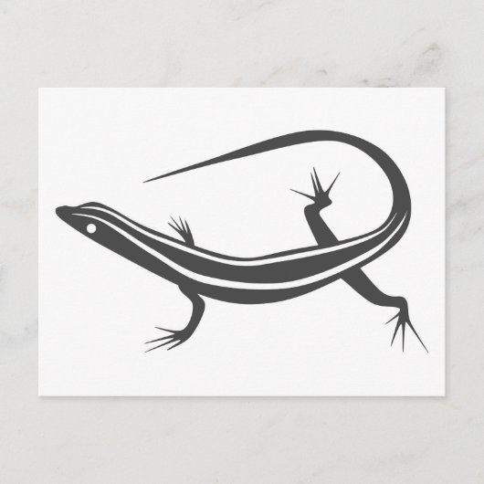 Skink lizard postcard briefkaart (Voorkant)
