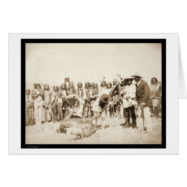 Skinning Rundvee in Pine Ridge Reservation SD 1887 (Voorkant Horizontaal)