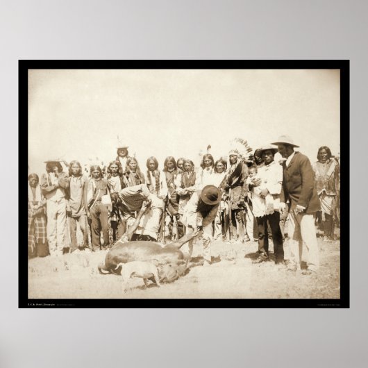 Skinning Rundvee in Pine Ridge Reservation SD 1887 Poster (Voorkant)
