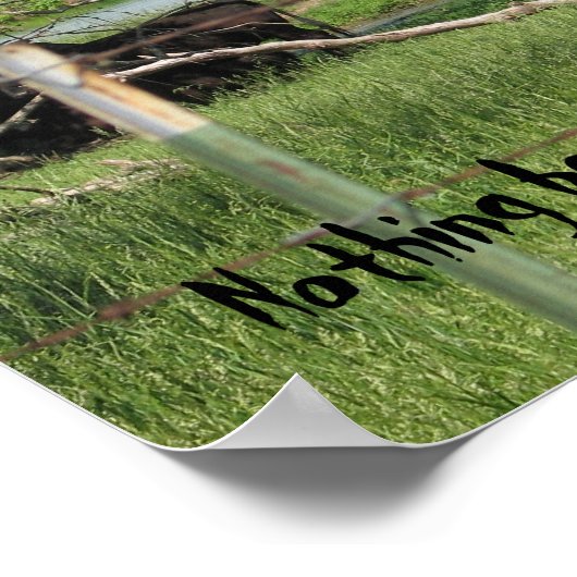 Skinny Dipping Koeien Poster (Hoek)