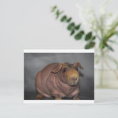 Skinny Pig Briefkaart (Staand voorkant)