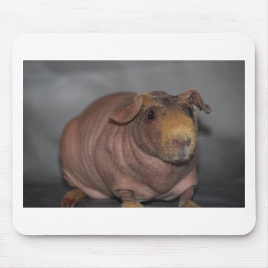 Skinny Pig Muismat (Voorkant)