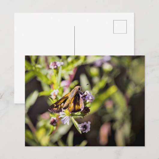 Skipper Butterfly Feestdagenkaart (Voorkant / Achterkant)