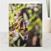 Skipper Butterfly Kaart (Voorkant)