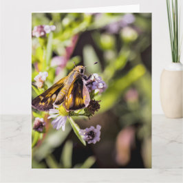 Skipper Butterfly Kaart