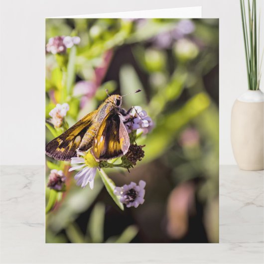 Skipper Butterfly Kaart (Voorkant)