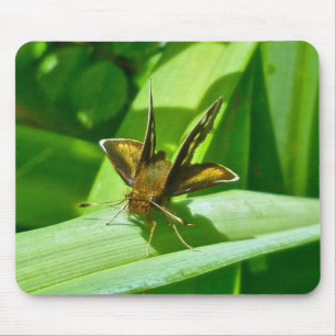 Skipper Butterfly Mousepad Muismat
