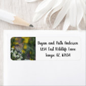 Skipper vlinder adreslabel etiket (Insitu)