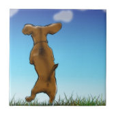 Skipping Doxie Tegeltje (Voorkant)