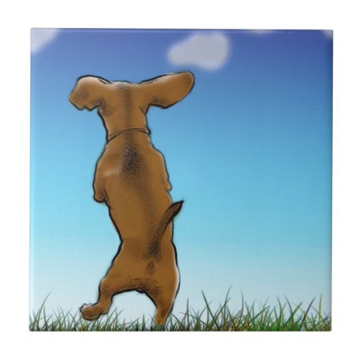 Skipping Doxie Tegeltje (Voorkant)