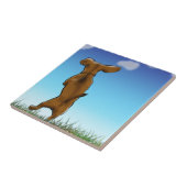 Skipping Doxie Tegeltje (Zijkant)