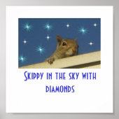 Skippy in the sky with diamonds Poster (Voorkant)