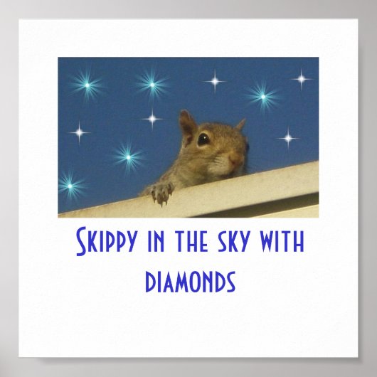 Skippy in the sky with diamonds Poster (Voorkant)