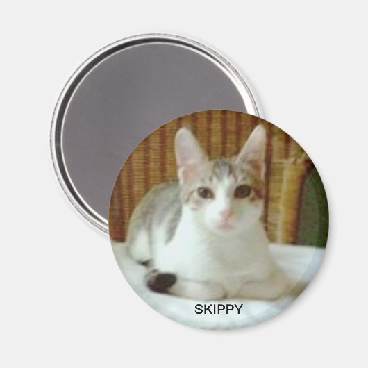 SKIPPY MAGNEET (Voorkant / Achterkant)