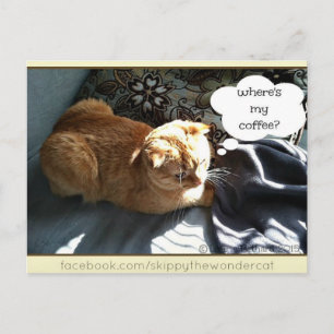 Skippy Waar is mijn koffie Briefkaart