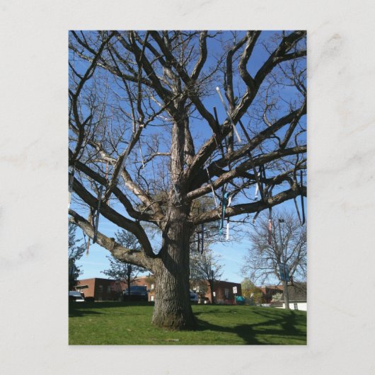 Skis in een boom briefkaart (Voorkant)