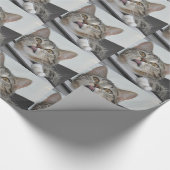 Skittles de Kat Inpakpapier (Hoek)