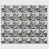 Skittles de Kat Inpakpapier (Vlak)