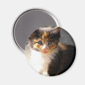 Skittles Magnet (Voorkant / Achterkant)