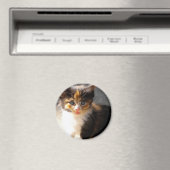 Skittles Magnet (Insitu (Vaatwasser))