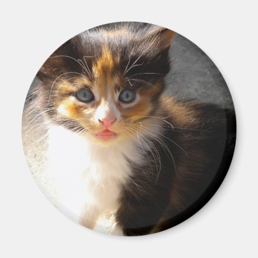 Skittles Magnet (Voorkant)