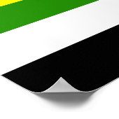 Skolioseksuele trots poster (Hoek)