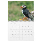 Skomer Island Puffins 2021 Wales Kalender (Mar 2026)