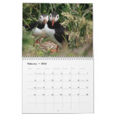 Skomer Island Puffins 2021 Wales Kalender (Feb 2026)