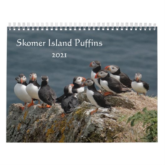 Skomer Island Puffins 2021 Wales Kalender (Hoes)