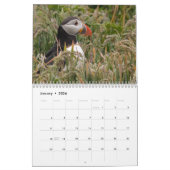 Skomer Island Puffins 2021 Wales Kalender (Jan 2026)
