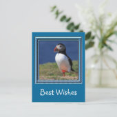 Skomer Island Puffins Briefkaart (Staand voorkant)