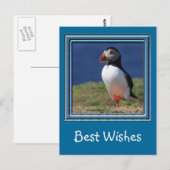 Skomer Island Puffins Briefkaart (Voorkant / Achterkant)